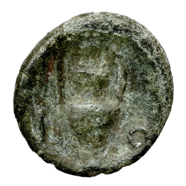 Corcyra BMC Corcyra 314-348_420-433, реверс, bnf-iris