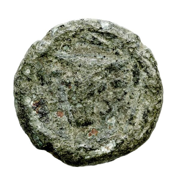 Corcyra BMC Corcyra 434-446, реверс, bnf-iris