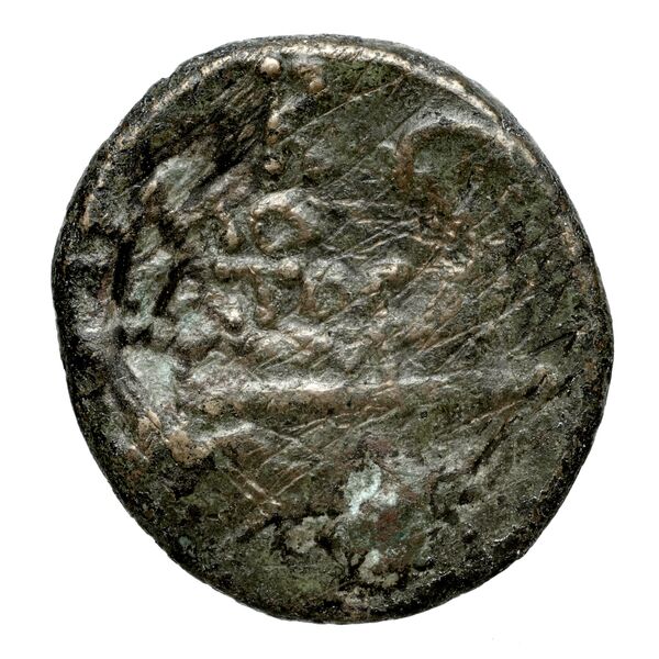 Corcyra BMC Corcyra 482-492_499-507_510-524_526-540_546-548_563-567, реверс, bnf-iris