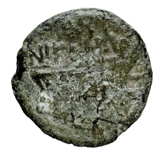 Corcyra BMC Corcyra 482-492_499-507_510-524_526-540_546-548_563-567, реверс, bnf-iris