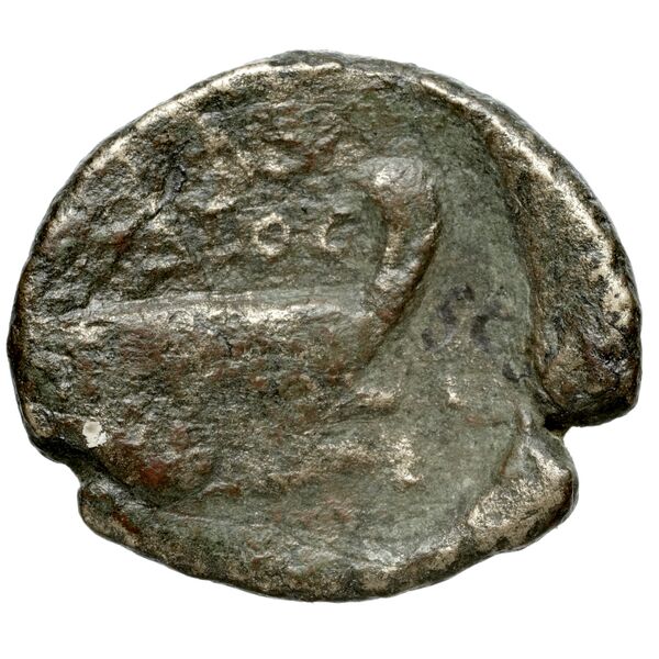 Corcyra BMC Corcyra 482-492_499-507_510-524_526-540_546-548_563-567, реверс, bnf-iris