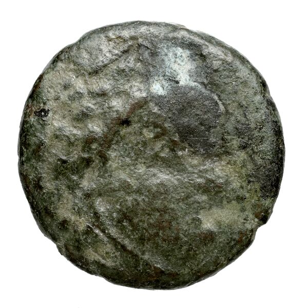 Corcyra BMC Corcyra 482-492_499-507_510-524_526-540_546-548_563-567, аверс, bnf-iris