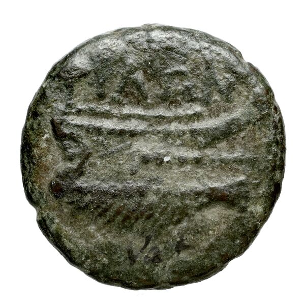 Corcyra BMC Corcyra 482-492_499-507_510-524_526-540_546-548_563-567, реверс, bnf-iris