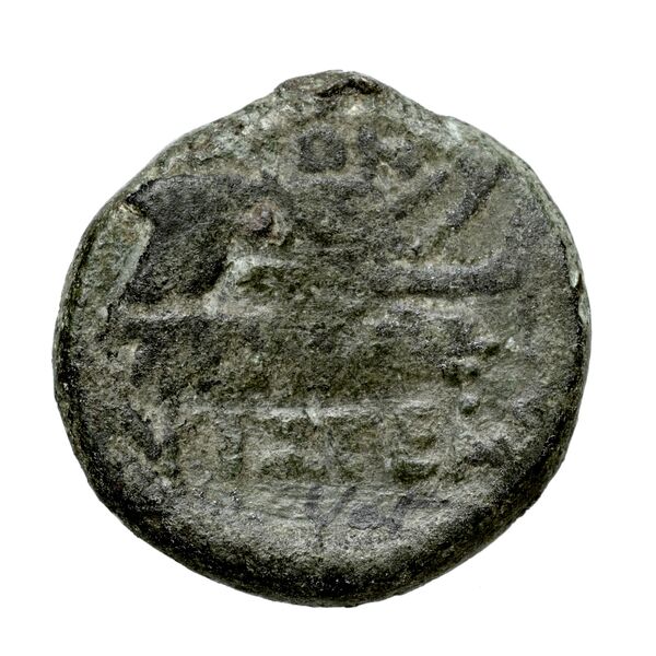 Corcyra BMC Corcyra 482-492_499-507_510-524_526-540_546-548_563-567, реверс, bnf-iris