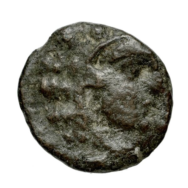 Corcyra BMC Corcyra 482-492_499-507_510-524_526-540_546-548_563-567, аверс, bnf-iris