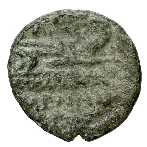 Corcyra BMC Corcyra 482-492_499-507_510-524_526-540_546-548_563-567, реверс, bnf-iris