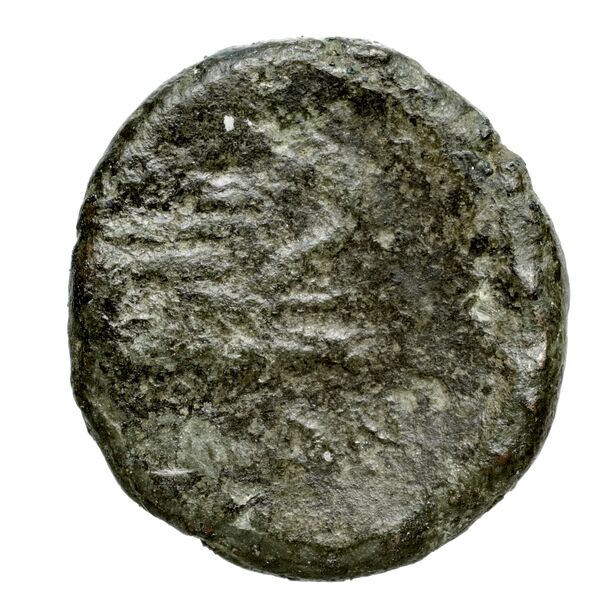 Corcyra BMC Corcyra 482-492_499-507_510-524_526-540_546-548_563-567, реверс, bnf-iris
