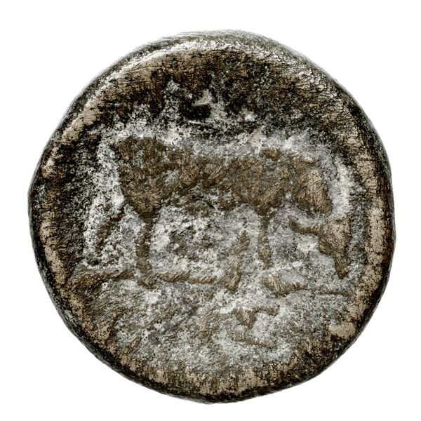 Pella AMNG III.2 14-15, реверс, bnf-iris