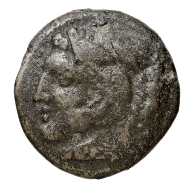 Philippi AMNG III.2 3, аверс, bnf-iris
