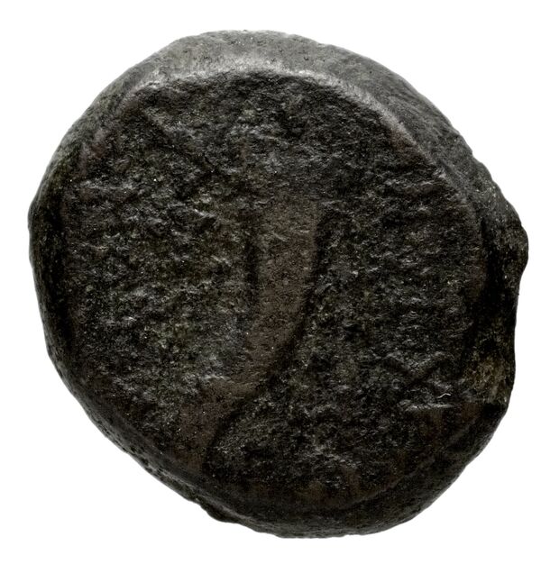 Aretas IV of Nabataea Petra Barkay 2019 186, 188, реверс, BnF (IRIS)