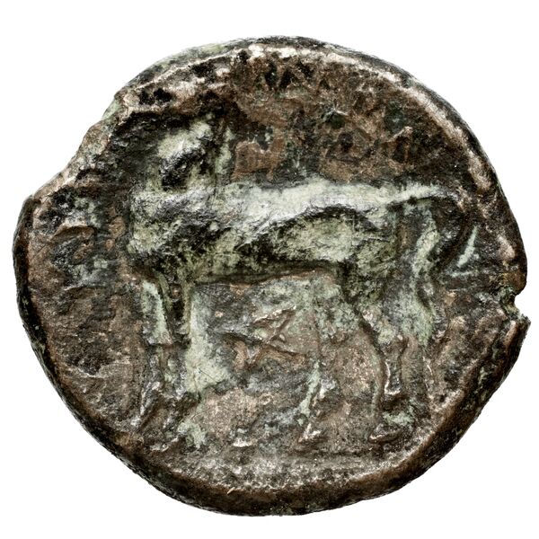 реверс Nuceria Historia Numorum Italy 2438-46