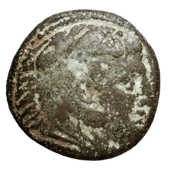Cassander Macedon AMNG III.2 3-4, аверс, bnf-iris