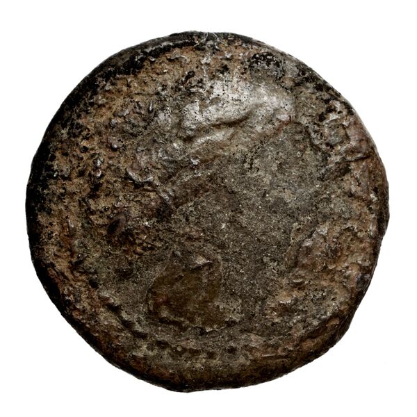 Cassander Macedon AMNG III.2 9, аверс, bnf-iris