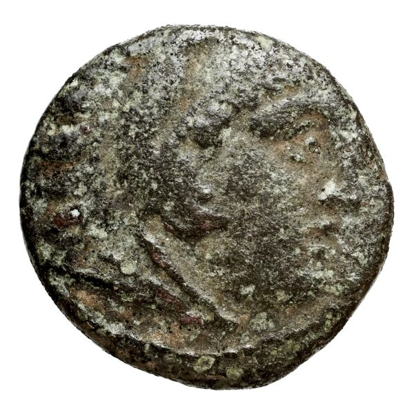 Cassander Macedon AMNG III.2 1-2, аверс, bnf-iris
