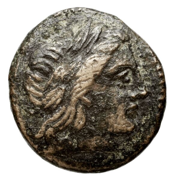 Cassander Macedon AMNG III.2 9, аверс, bnf-iris