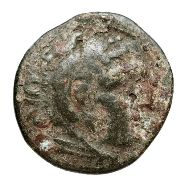 Cassander Macedon AMNG III.2 3-4, аверс, bnf-iris