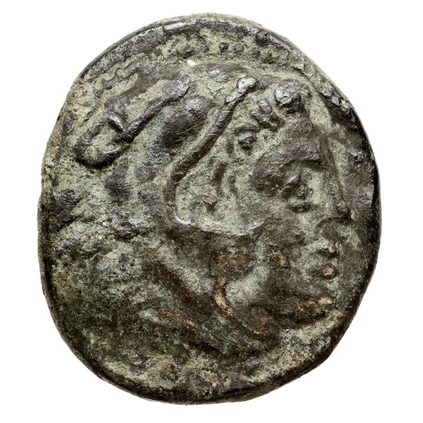 Cassander Macedon AMNG III.2 3-4, аверс, bnf-iris