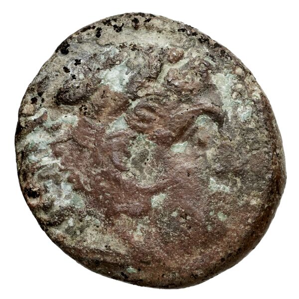 Cassander Macedon AMNG III.2 1-2, аверс, bnf-iris