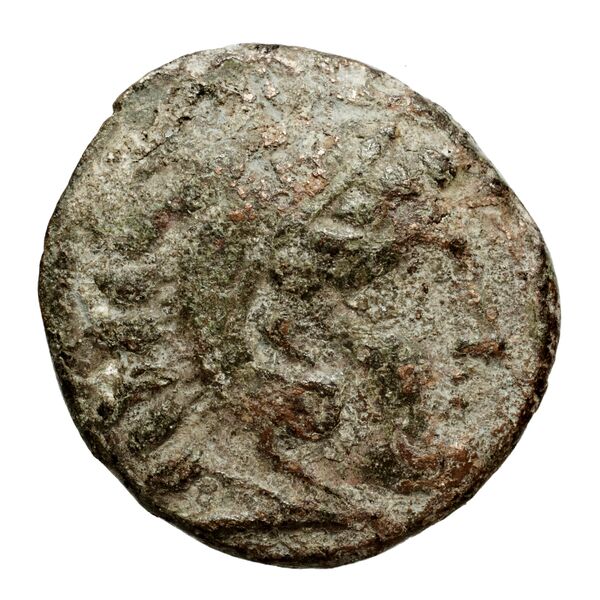 Cassander Macedon AMNG III.2 1-2, аверс, bnf-iris