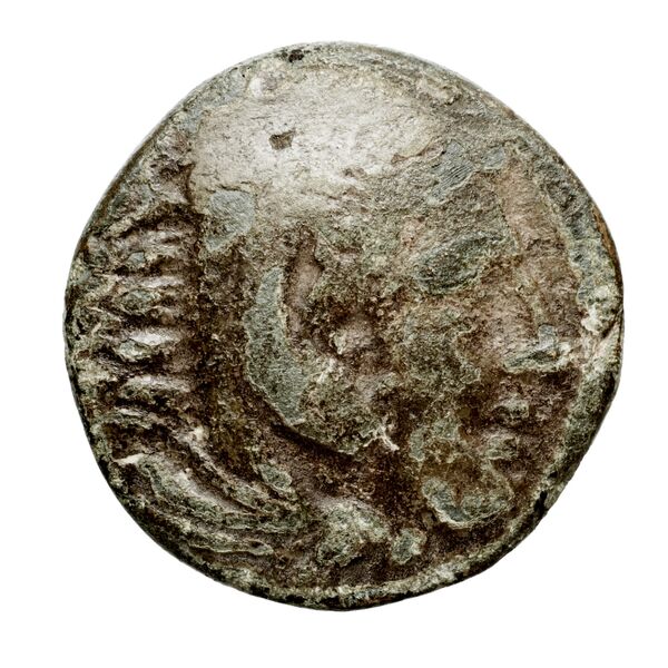 Cassander Macedon AMNG III.2 1-2, аверс, bnf-iris