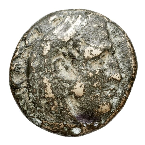Cassander Macedon AMNG III.2 3-4, аверс, bnf-iris