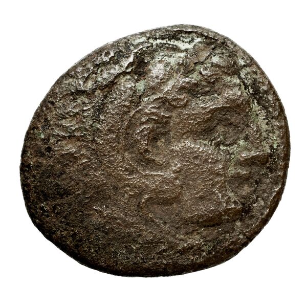 Cassander Macedon AMNG III.2 3-4, аверс, bnf-iris