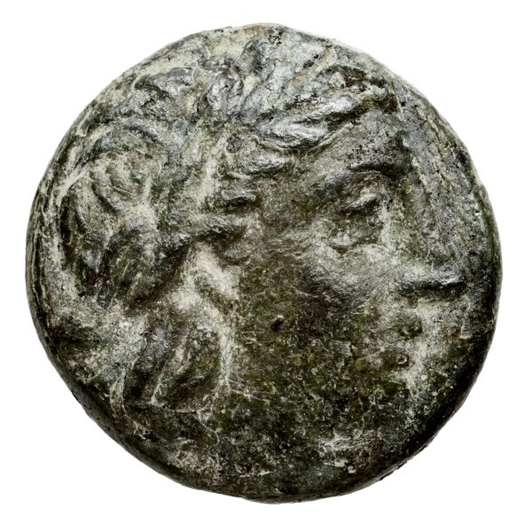 Cassander Macedon AMNG III.2 9, аверс, bnf-iris