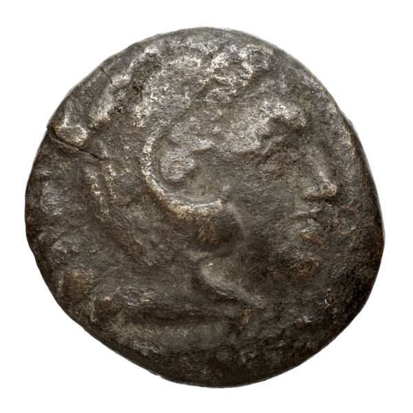 Cassander Macedon AMNG III.2 3-4, аверс, bnf-iris