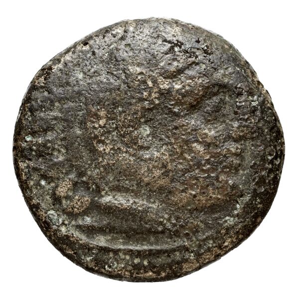 Cassander Macedon AMNG III.2 3-4, аверс, bnf-iris