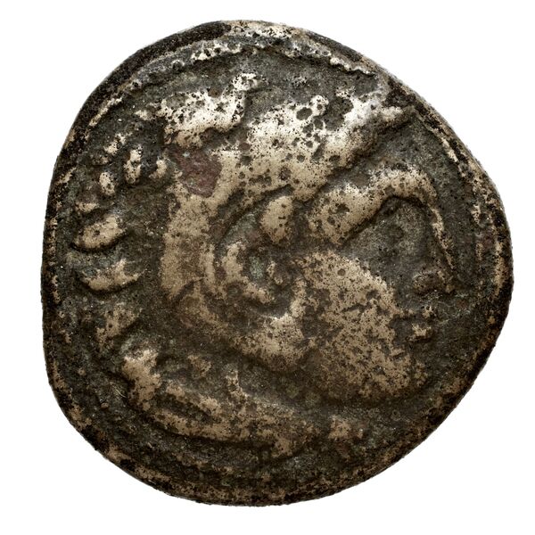 Cassander Macedon AMNG III.2 3-4, аверс, bnf-iris