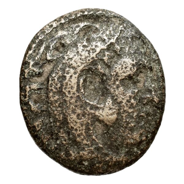 Cassander Macedon AMNG III.2 3-4, аверс, bnf-iris