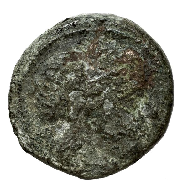Cassander Macedon AMNG III.2 9, аверс, bnf-iris