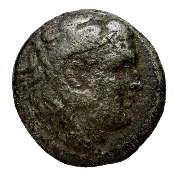 Philip V Macedon AMNG III.2 12, аверс, bnf-iris