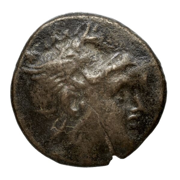 Philip V Macedon AMNG III.2 20-21, аверс, bnf-iris