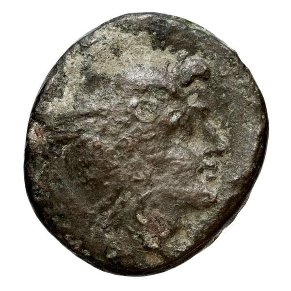 Perseus Macedon AMNG III.2 6-7, аверс, bnf-iris