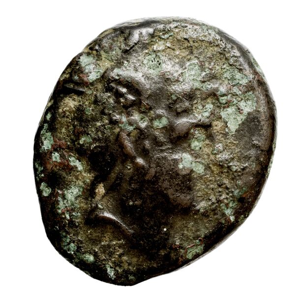 Perseus Macedon AMNG III.2 8, аверс, bnf-iris