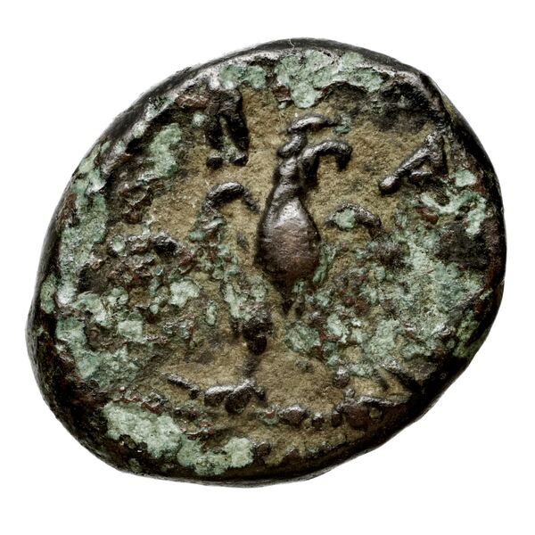 Perseus Macedon AMNG III.2 8, реверс, bnf-iris