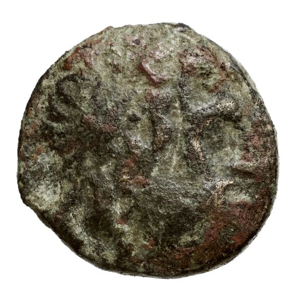 Philip V Macedon AMNG III.2 11, аверс, bnf-iris