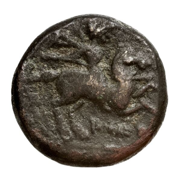 Elaea BMC Elaea 15, реверс, bnf-iris