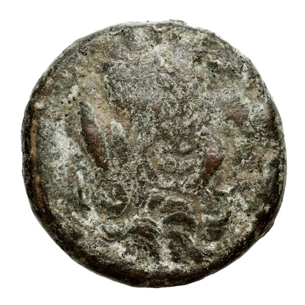 Perseus Macedon AMNG III.2 9-10, аверс, bnf-iris
