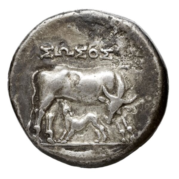 аверс Apollonia, Illyria Maier 1907 9-105