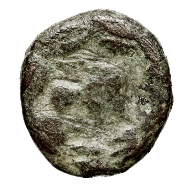 Corcyra BMC Corcyra 449-468, реверс, bnf-iris