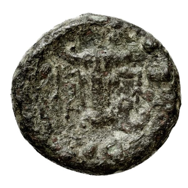 Corcyra BMC Corcyra 434-446, реверс, bnf-iris