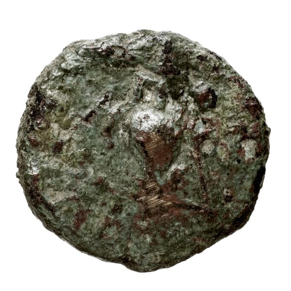 Corcyra BMC Corcyra 314-348_420-433, реверс, bnf-iris