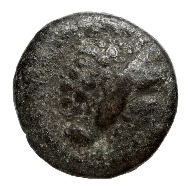 аверс Chalcis Picard 1979 Series I group IV issue 66-81 bronze