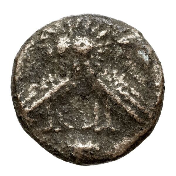 реверс Athens BMC Athens 174-179