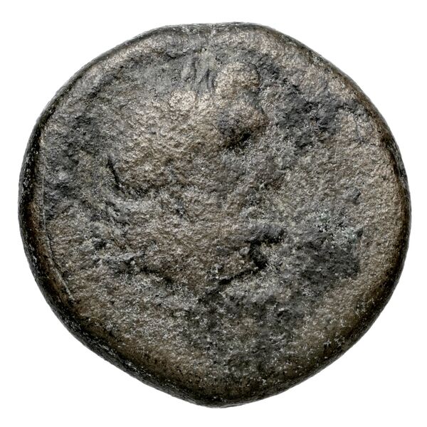 Deiotarus of Galatia Galatia Newell 1934 3, аверс, BnF (IRIS)