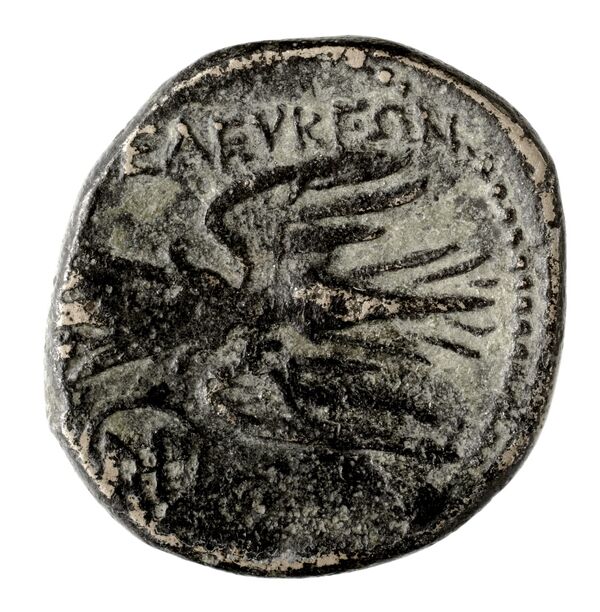 Seleuceia Pieria BMC Seleuceia in Pieria 1-4, реверс, bnf-iris