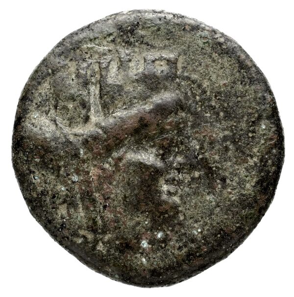 Seleuceia Pieria Butcher 2004 Autonomous coinage a, аверс, bnf-iris