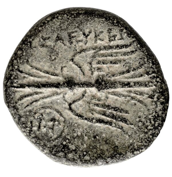 Seleuceia Pieria BMC Seleuceia in Pieria 1-4, реверс, bnf-iris
